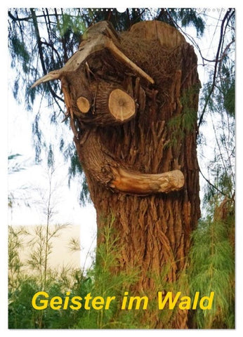 Geister im Wald 2027 (Wandkalender 2027 DIN A2 hoch), CALVENDO Monatskalender