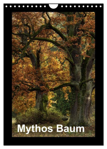 Mythos Baum / 2027 (Wandkalender 2027 DIN A4 hoch), CALVENDO Monatskalender