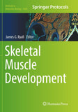 Skeletal Muscle Development