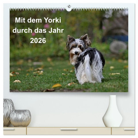 Mit dem Yorki durch das Jahr 2026 (hochwertiger Premium Wandkalender 2026 DIN A2 quer), Kunstdruck in Hochglanz