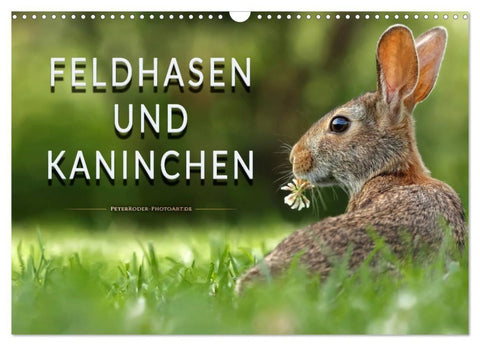 Feldhasen und Kaninchen (Wandkalender 2027 DIN A3 quer), CALVENDO Monatskalender