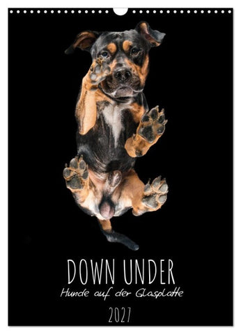 Down Under - Hunde auf der Glasplatte (Wandkalender 2027 DIN A3 hoch), CALVENDO Monatskalender