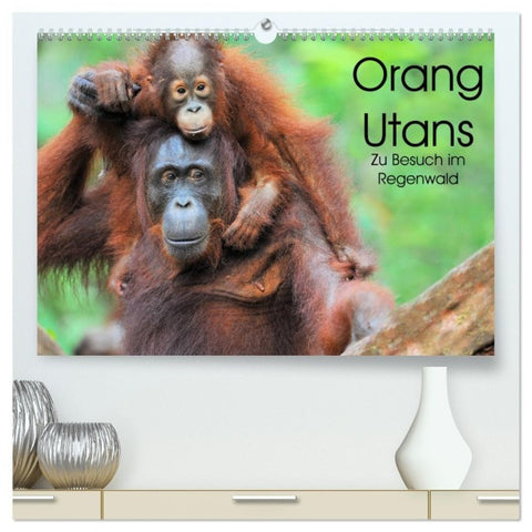 Orang Utans: Zu Besuch im Regenwald (hochwertiger Premium Wandkalender 2027 DIN A2 quer), Kunstdruck in Hochglanz