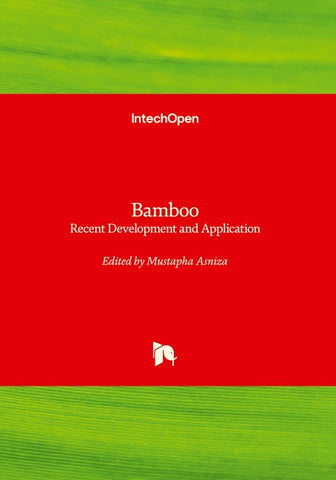 Bamboo