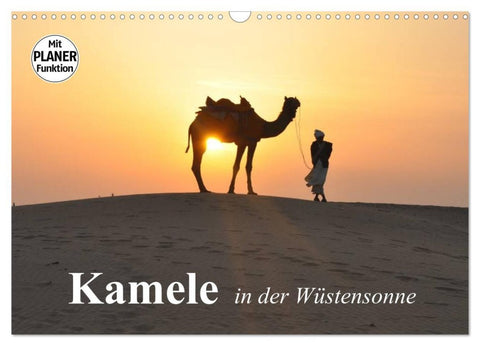 Kamele in der Wüstensonne (Wandkalender 2026 DIN A3 quer), CALVENDO Monatskalender