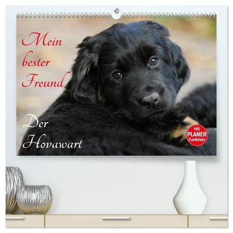 Mein bester Freund - Der Hovawart (hochwertiger Premium Wandkalender 2027 DIN A2 quer), Kunstdruck in Hochglanz