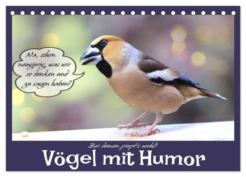 Vögel mit Humor (Tischkalender 2027 DIN A5 quer), CALVENDO Monatskalender