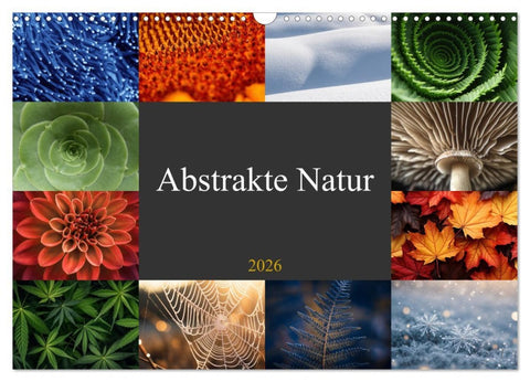 Abstrakte Natur (Wandkalender 2026 DIN A3 quer), CALVENDO Monatskalender