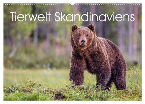 Tierwelt Skandinaviens (Wandkalender 2027 DIN A2 quer), CALVENDO Monatskalender
