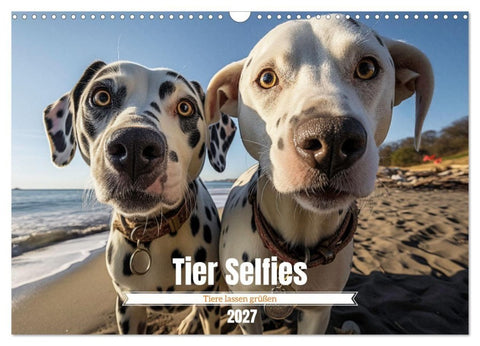 Tier Selfies (Wandkalender 2027 DIN A3 quer), CALVENDO Monatskalender