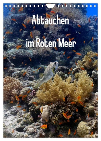Abtauchen im Roten Meer (Wandkalender 2027 DIN A4 hoch), CALVENDO Monatskalender