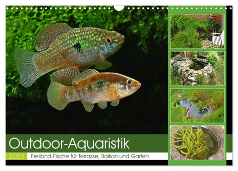 Outdoor-Aquaristik (Wandkalender 2027 DIN A3 quer), CALVENDO Monatskalender