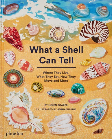 What A Shell Can Tell (2022)