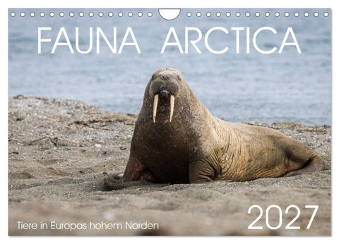 Fauna arctica (Wandkalender 2027 DIN A4 quer), CALVENDO Monatskalender