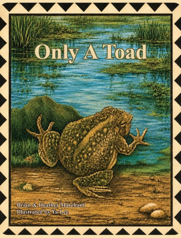 Only A Toad