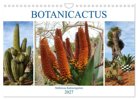 BOTANICACTUS Mallorcas Kakteengarten (Wandkalender 2027 DIN A4 quer), CALVENDO Monatskalender