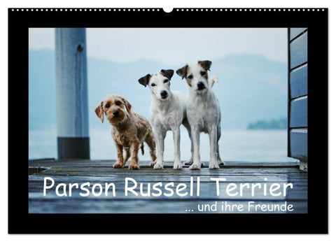 Parson Russell Terrier (Wandkalender 2027 DIN A2 quer), CALVENDO Monatskalender