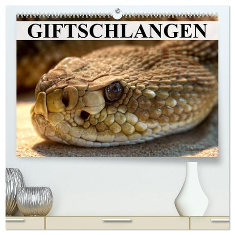 Giftschlangen (hochwertiger Premium Wandkalender 2027 DIN A2 quer), Kunstdruck in Hochglanz