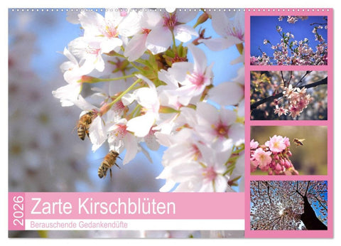 Zarte Kirschblüten - Berauschende Gedankendüfte (Wandkalender 2026 DIN A2 quer), CALVENDO Monatskalender