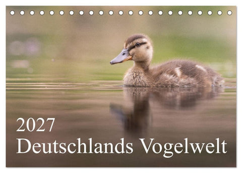Deutschlands Vogelwelt (Tischkalender 2027 DIN A5 quer), CALVENDO Monatskalender