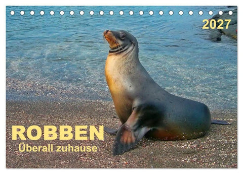 Robben - überall zuhause (Tischkalender 2027 DIN A5 quer), CALVENDO Monatskalender