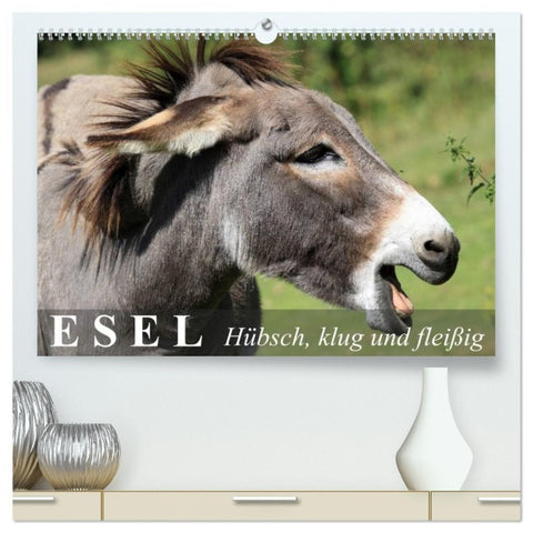 Esel - hübsch, klug und fleißig (hochwertiger Premium Wandkalender 2027 DIN A2 quer), Kunstdruck in Hochglanz