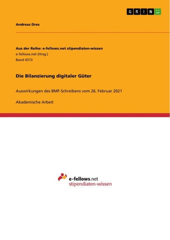 Die Bilanzierung digitaler Güter