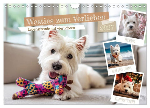 Westies zum Verlieben (Wandkalender 2027 DIN A4 quer), CALVENDO Monatskalender