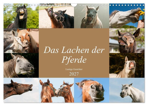 Das Lachen der Pferde - Lustige Gesichter (Wandkalender 2027 DIN A3 quer), CALVENDO Monatskalender