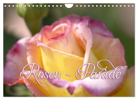 Rosen - Parade (Wandkalender 2027 DIN A4 quer), CALVENDO Monatskalender