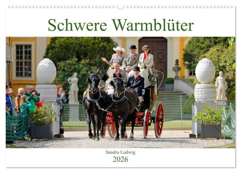 Schwere Warmblüter 2026 (Wandkalender 2026 DIN A2 quer), CALVENDO Monatskalender