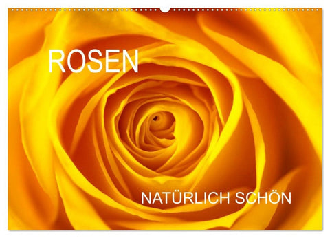 Rosen natürlich schön (Wandkalender 2026 DIN A2 quer), CALVENDO Monatskalender