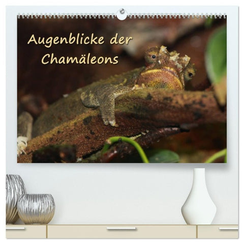 Augenblicke der Chamäleons (hochwertiger Premium Wandkalender 2027 DIN A2 quer), Kunstdruck in Hochglanz