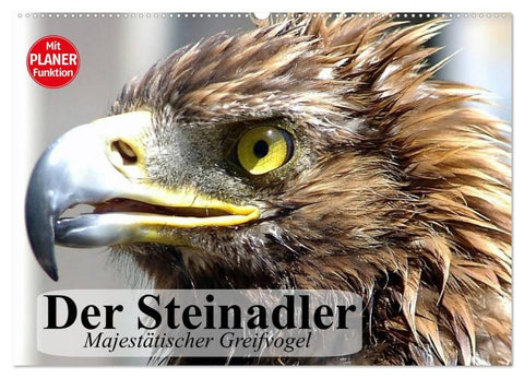 Der Steinadler. Majestätischer Greifvogel (Wandkalender 2027 DIN A2 quer), CALVENDO Monatskalender