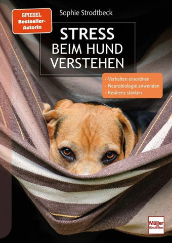 Stress beim Hund verstehen