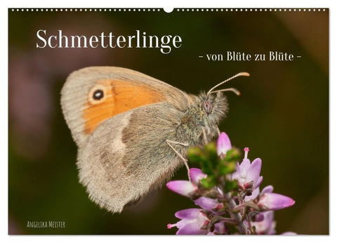 Schmetterlinge - von Blüte zu Blüte - (Wandkalender 2027 DIN A2 quer), CALVENDO Monatskalender