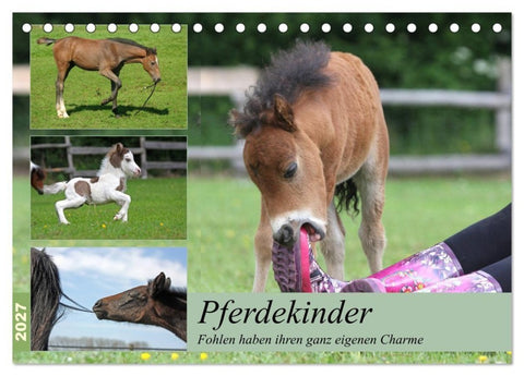 Pferdekinder - Fohlen haben ihren ganz eigenen Charme (Tischkalender 2027 DIN A5 quer), CALVENDO Monatskalender