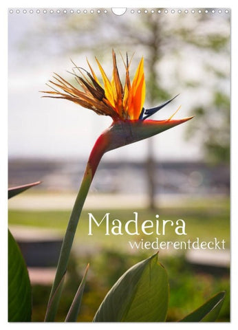 Madeira - wiederentdeckt (Wandkalender 2027 DIN A3 hoch), CALVENDO Monatskalender