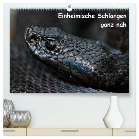 Einheimische Schlangen ganz nah (hochwertiger Premium Wandkalender 2026 DIN A2 quer), Kunstdruck in Hochglanz