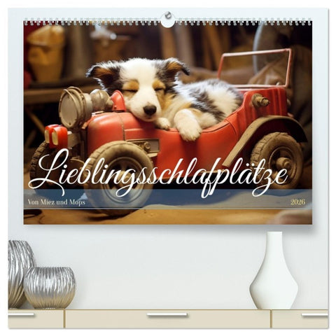 Lieblingsschlafplätze (hochwertiger Premium Wandkalender 2026 DIN A2 quer), Kunstdruck in Hochglanz