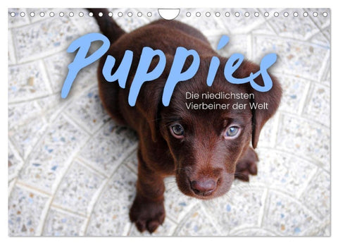 Puppies - Die niedlichsten Vierbeiner der Welt. (Wandkalender 2027 DIN A4 quer), CALVENDO Monatskalender