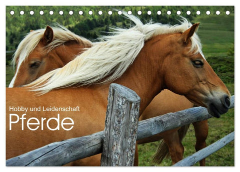 Pferde - Hobby und Leidenschaft (Tischkalender 2026 DIN A5 quer), CALVENDO Monatskalender