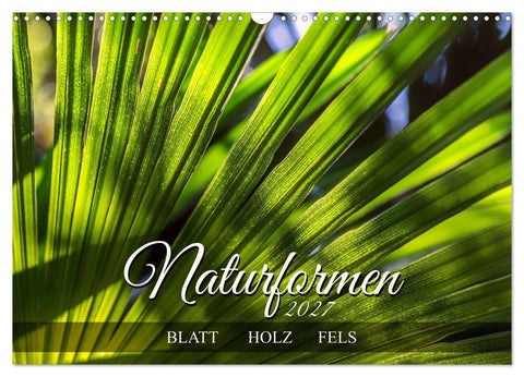 Naturformen, Blatt, Holz, Fels (Wandkalender 2027 DIN A3 quer), CALVENDO Monatskalender
