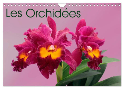 Les Orchidées (Calendrier mural 2027 DIN A4 vertical), CALVENDO calendrier mensuel