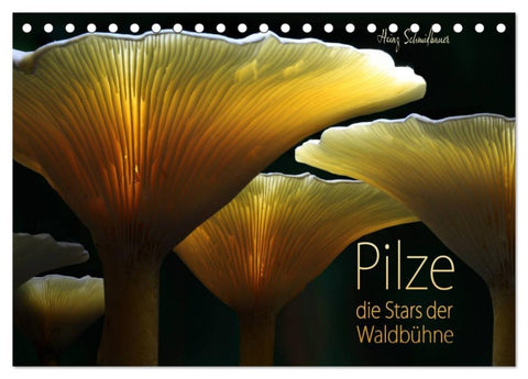 Pilze - die Stars der Waldbühne (Tischkalender 2026 DIN A5 quer), CALVENDO Monatskalender