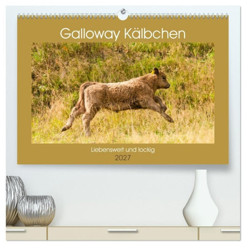 Galloway Kälbchen - Liebenswert und lockig (hochwertiger Premium Wandkalender 2027 DIN A2 quer), Kunstdruck in Hochglanz