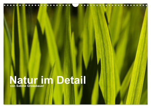 Natur im Detail (Wandkalender 2026 DIN A3 quer), CALVENDO Monatskalender