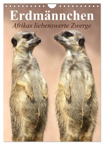 Erdmännchen - Afrikas liebenswerte Zwerge (Wandkalender 2026 DIN A4 hoch), CALVENDO Monatskalender