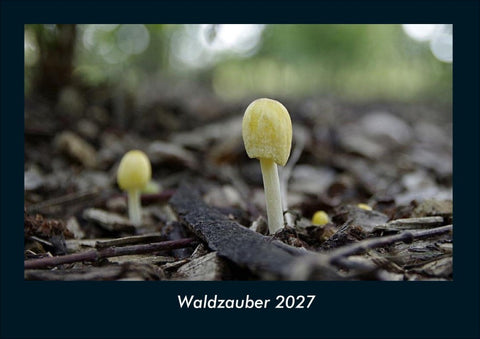 Waldzauber 2027 Fotokalender DIN A4