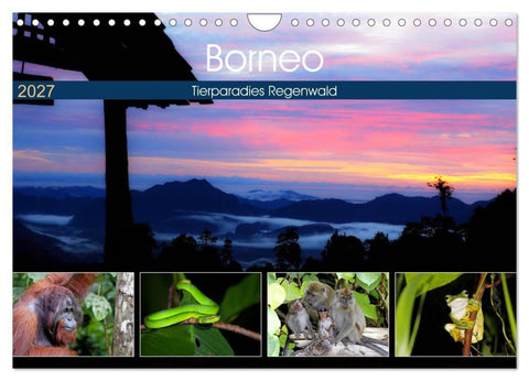 Borneo - Tierparadies Regenwald (Wandkalender 2027 DIN A4 quer), CALVENDO Monatskalender